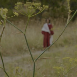 Fear The Lamb (2026)