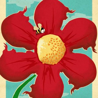 Ferdinand Picture 13
