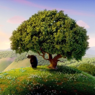 Ferdinand Picture 4
