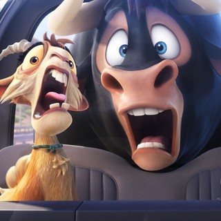 Ferdinand Picture 6