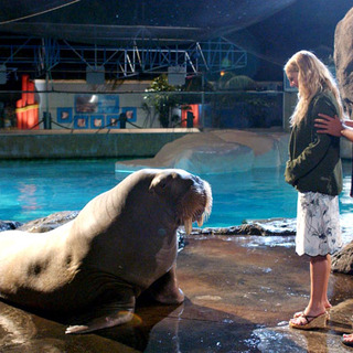 Adam Sandler and Drew Barrymore in Columbia Pictures' 50 First Dates (2004)