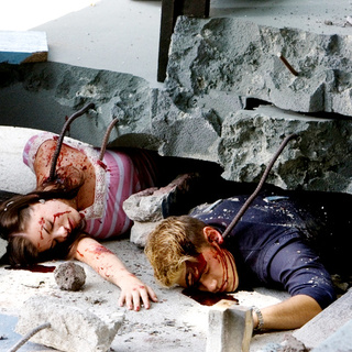 Final Destination, The Picture 6