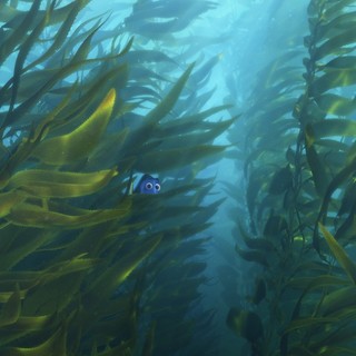 Poster of Walt Disney Pictures' Finding Dory (2016)