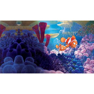 Finding Nemo Picture 1