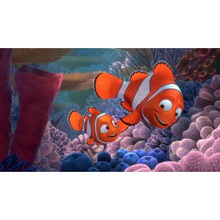 Finding Nemo Picture 2
