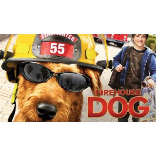 Firehouse Dog Picture 10