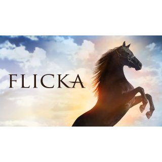 Flicka Picture 4