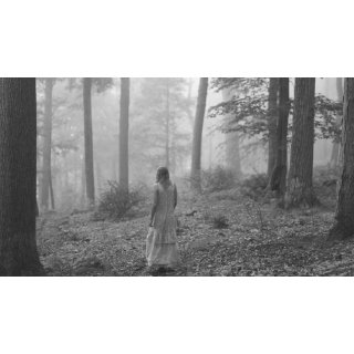 Folklore: The Long Pond Studio Sessions Picture 10