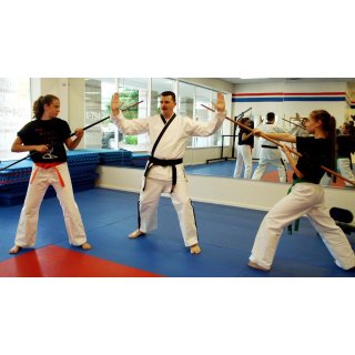 Foot Fist Way, The Picture 1