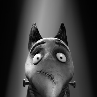 Frankenweenie Picture 16