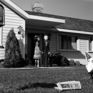 Frankenweenie Picture 25
