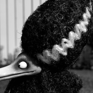 Frankenweenie Picture 8