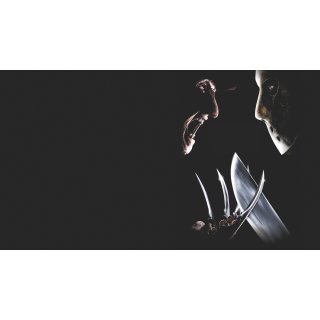 Freddy Vs Jason Picture 10
