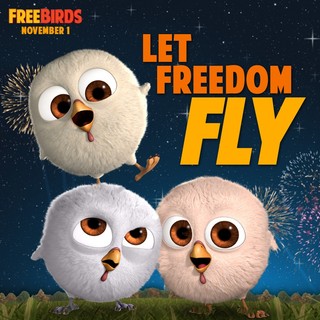 Free Birds Picture 12
