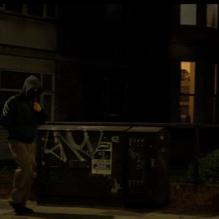 Fruitless Picture 8