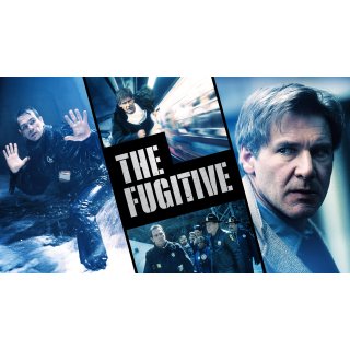 Fugitive, The Picture 3