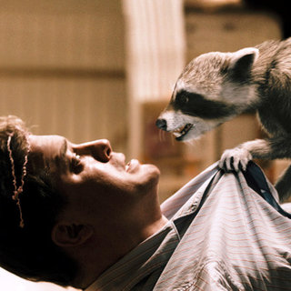 Furry Vengeance Picture 11