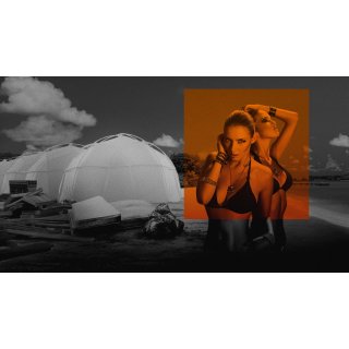 FYRE: The Greatest Party That Never Happened (2019)