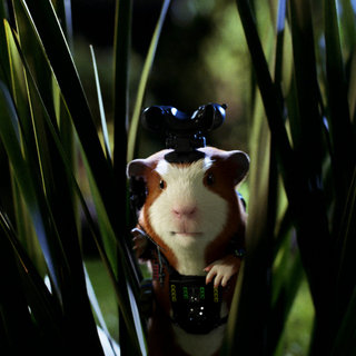 A scene from Walt Disney Pictures' G-Force (2009)