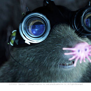 A scene from Walt Disney Pictures' G-Force (2009)