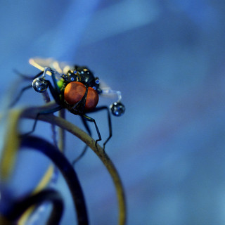 A scene from Walt Disney Pictures' G-Force (2009)
