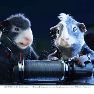 G-Force Picture 39