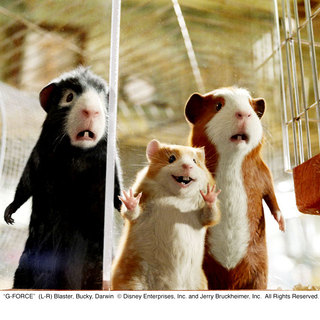 G-Force Picture 41