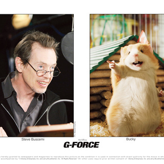 Steve Buscemi voices Bucky in Walt Disney Pictures' G-Force (2009)