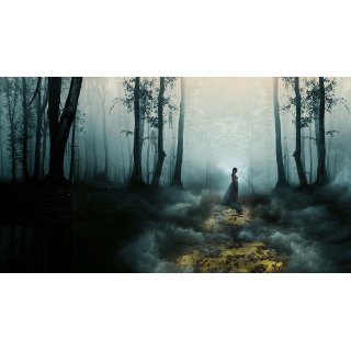 Gale: Yellow Brick Road Picture 2
