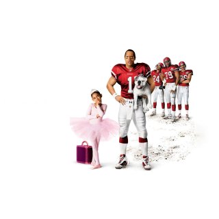 Game Plan, The Picture 7