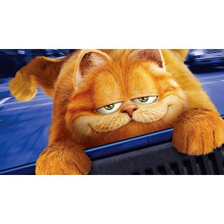Garfield Picture 5