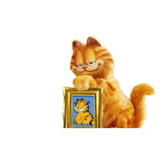 Garfield Picture 7
