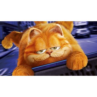 Garfield Picture 9