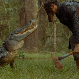 Gator Face Picture 3