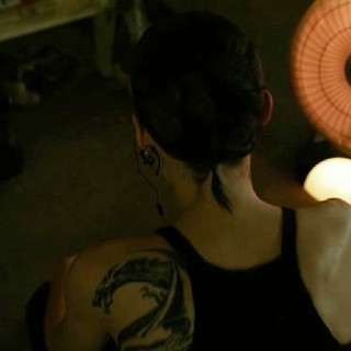Girl With The Dragon Tattoo (2011), The Picture 80
