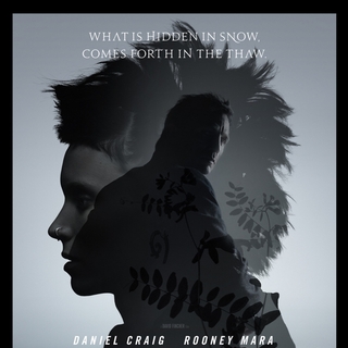 Girl With The Dragon Tattoo (2011), The Picture 49