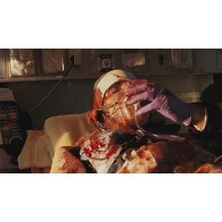 Girl Who Played with Fire (2015), The (1970)