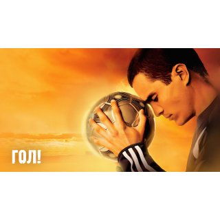 Goal! Picture 10