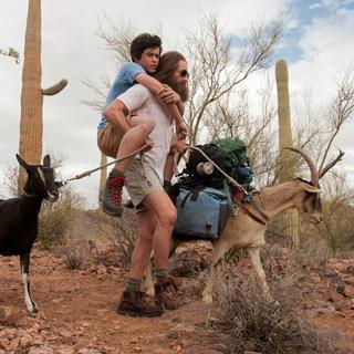 Goats Picture 3