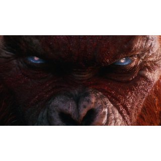 Godzilla X Kong: The New Empire Picture 8