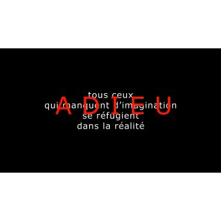 Goodbye to Language (2014)