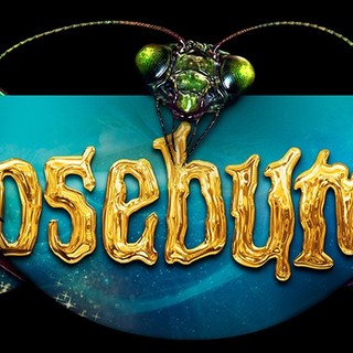 Goosebumps Picture 27