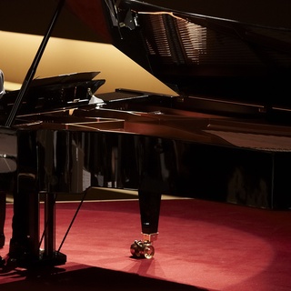 Grand Piano Picture 9