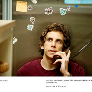 Greenberg Picture 8