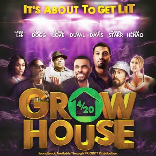 Poster of Rocky Mountain Pictures' Grow House (2017)