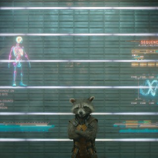 Rocket Raccoon from Marvel Studios' Guardians of the Galaxy (2014)