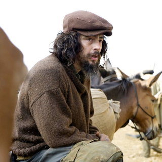 Guerrilla Picture 3