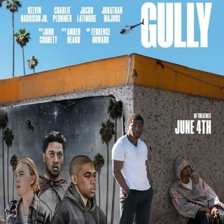 Gully Picture 1