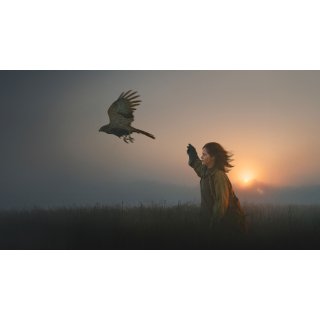 H Is For Hawk Picture 1
