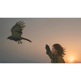H Is For Hawk Picture 2